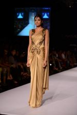 Model walk the ramp for Amit Aggarwal show at LFW 2013 Day 3 in Grand Haytt, Mumbai on 25th Aug 2013 (64).JPG